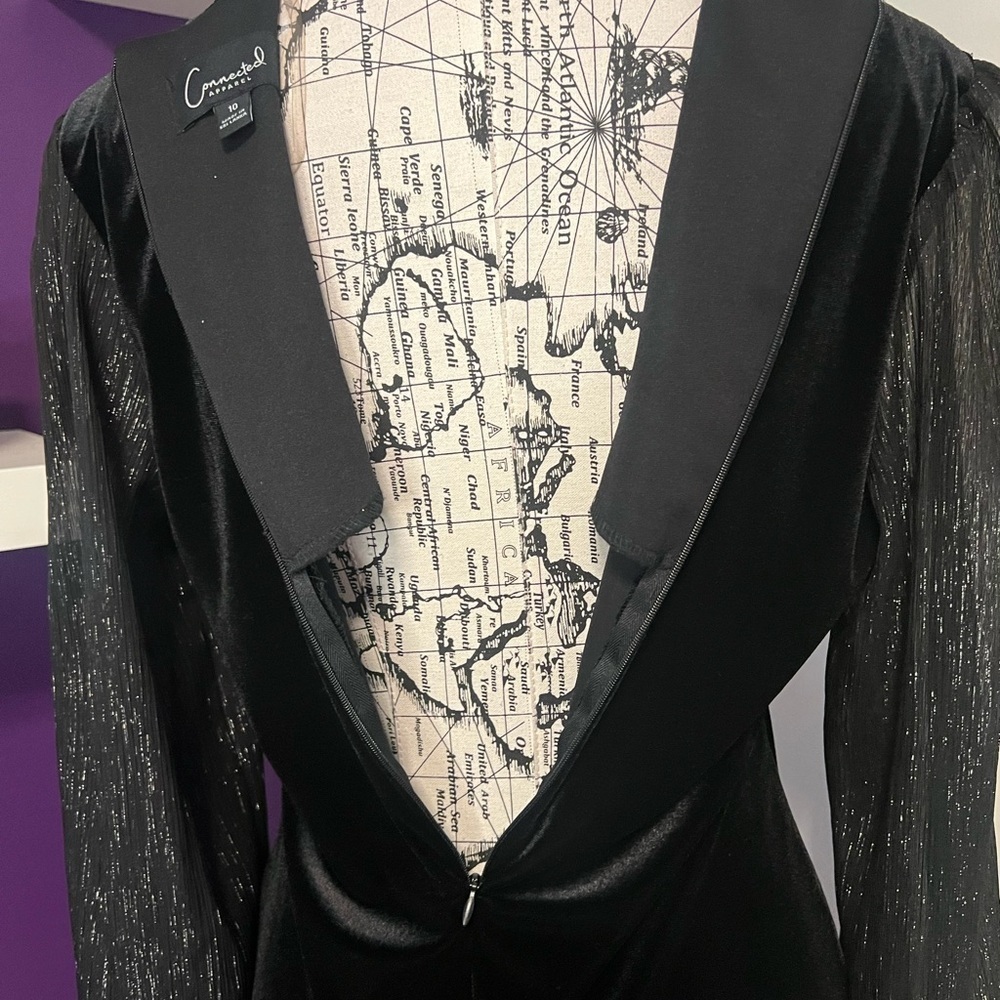 Connected Apparel Sheer Long Sleeve Velvety Dress - Picture 8 of 10